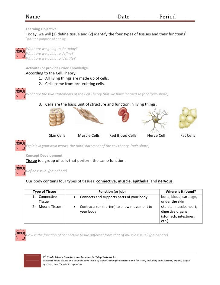 33 Types Of Tissues Worksheet Answers - Worksheet Resource Plans