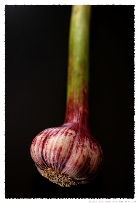 new-season garlic© by Haalo