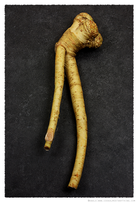 horseradish© by haalo