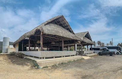 Ecoglamping Arena Beach By GH Suites
