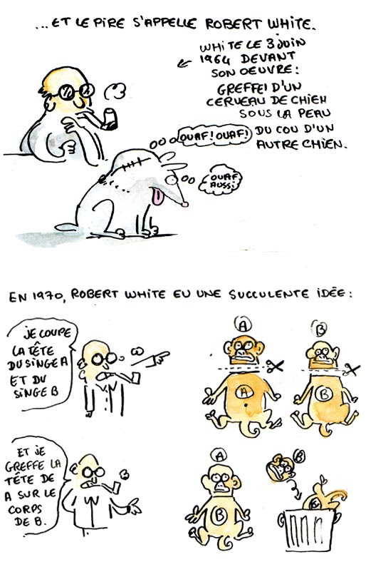 page11
