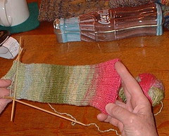 Lindsey's sock