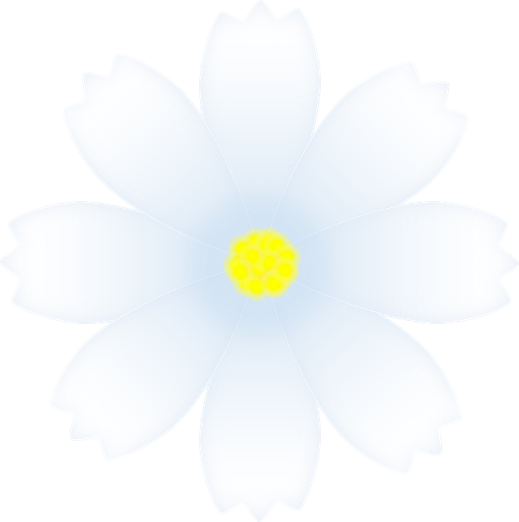 美しい花の画像 元のコスモス 画像 イラスト
