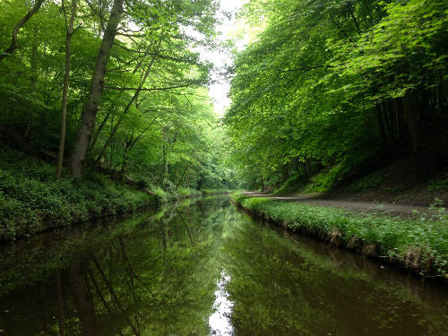 greencanal.jpg