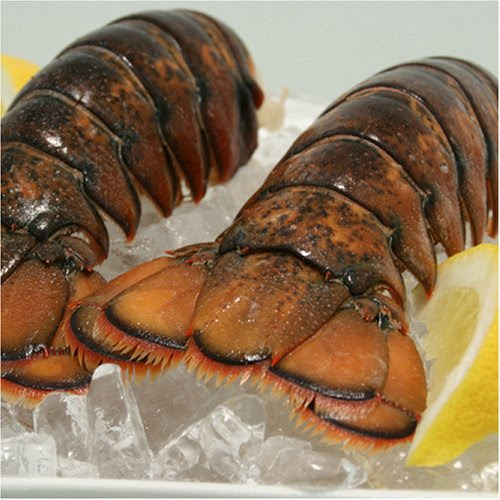 Seafood Lobster