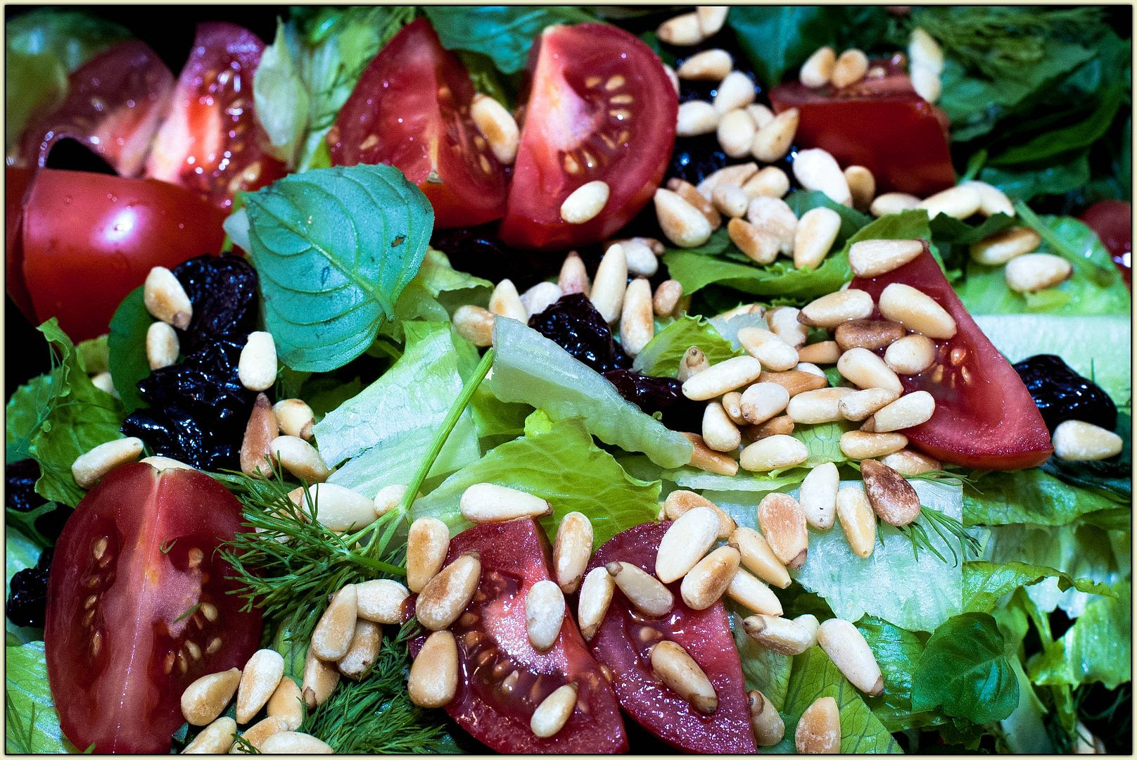 Romaine and Herb Salad