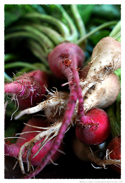 coloured beetroots© by Haalo