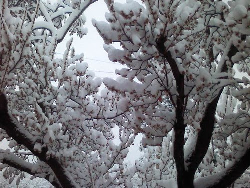 0403120720.jpg