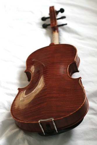 viola-back