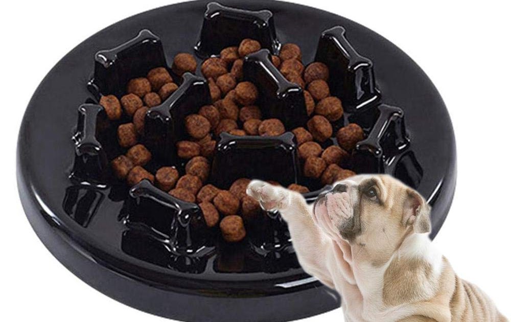 Slow Feeder Bowls For Bulldogs