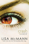 Crash (Visions, #1)