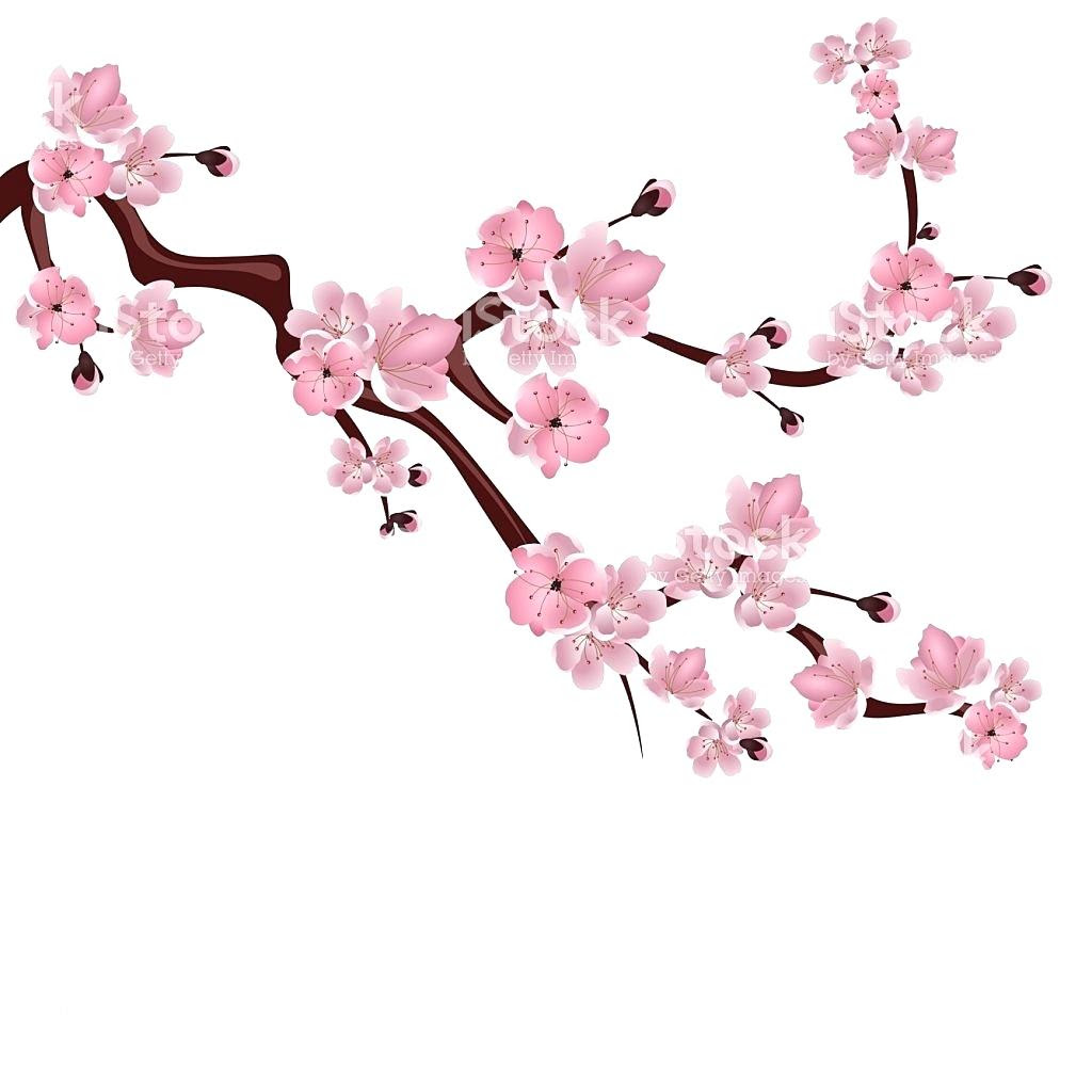 Japanese Cherry Blossom Trees Drawing