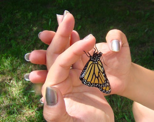 Stretching wings outside