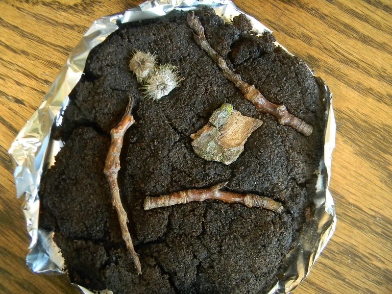homemade fossil dig