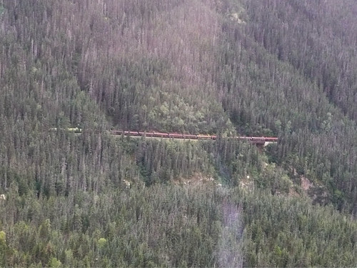 Heights of the White Pass
