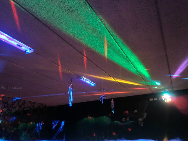 dance floor