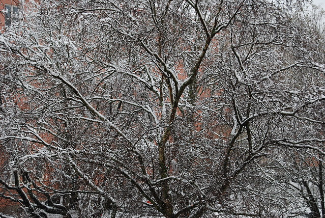 DSC_1692