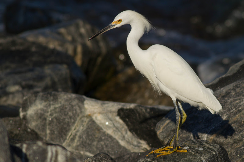 Photo & Video Sharing by SmugMug Photo & Video Sharing by SmugMug