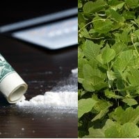 Save Our Life Tips Cara Mengatasi Kecanduan Narkoba Jenis Kokain