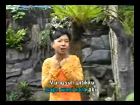 Lirik Lagu Nusantara Pitik Tukung Pitik Cilik