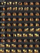 LockerRoom Spy 168-177 (Real Voyeur Video of the Locker Room Fitness Club)