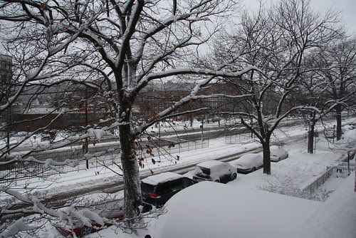 Boston 2010 snowstorm