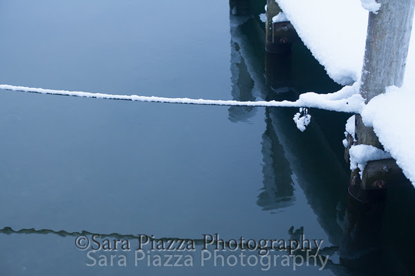 Edgartown News, spring snow, sara piazza photography