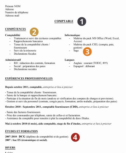 Exemple Rapport De Stage Dcg Exemple De Rapport De Stage Dcg Gratuit - hadiselamet