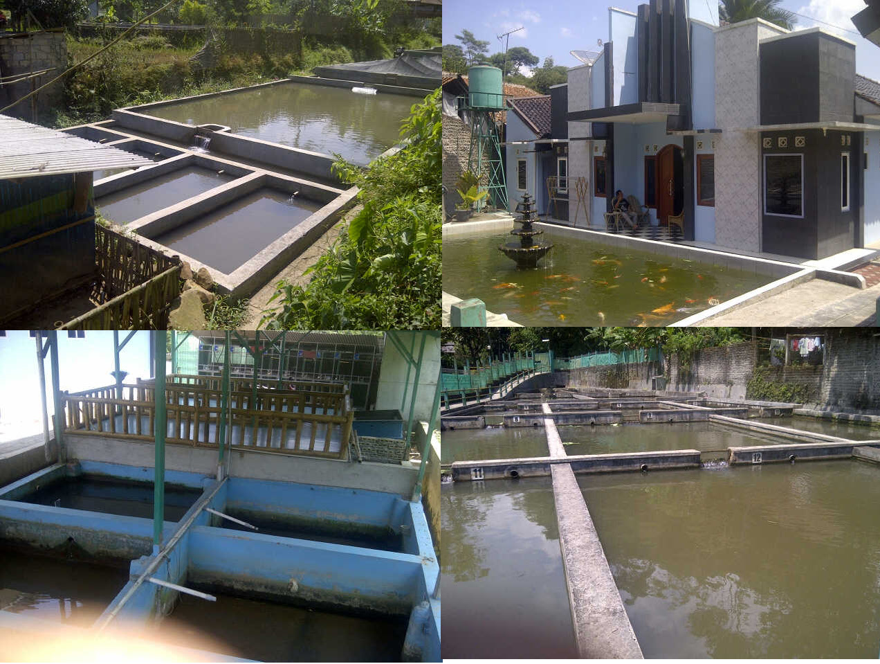 50+ Jual Rumah Ada Kolam Ikan Di Bogor | Rumah Minimalis