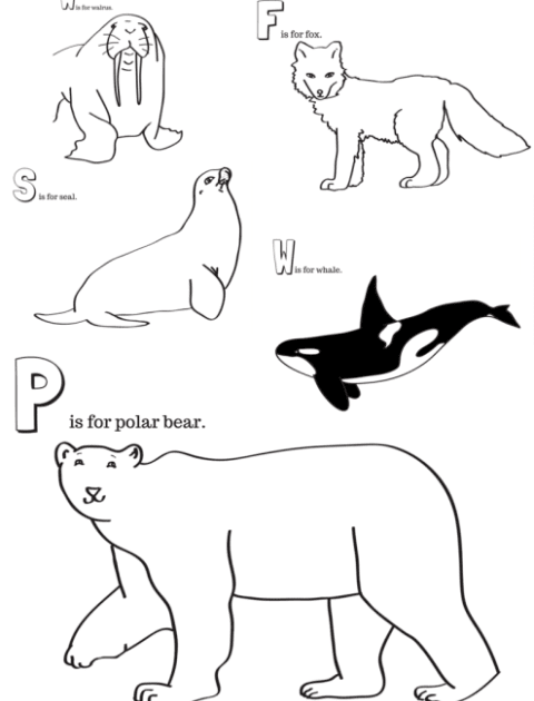 32 Polar Animals Coloring Pages