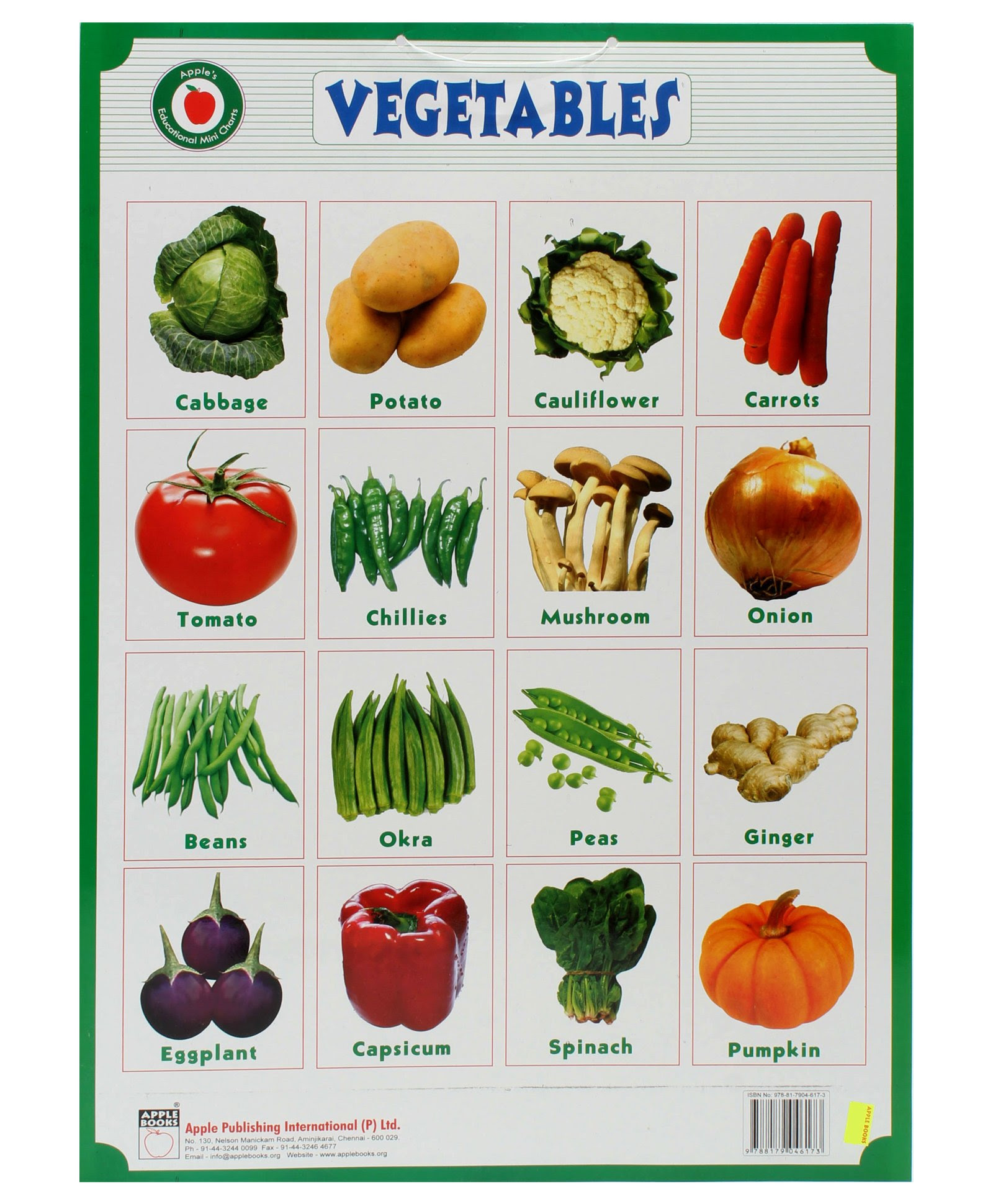 Vegetable Name Chart For Kids