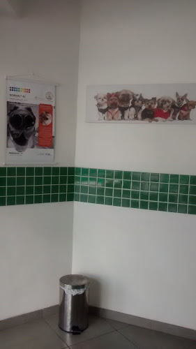 Veterinária Propato - Veterinário
