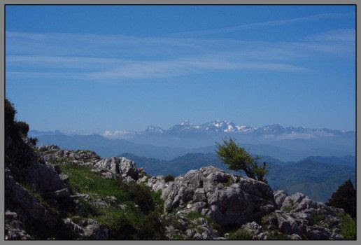 photo IMG_2864_zpsb68fff4d.jpg