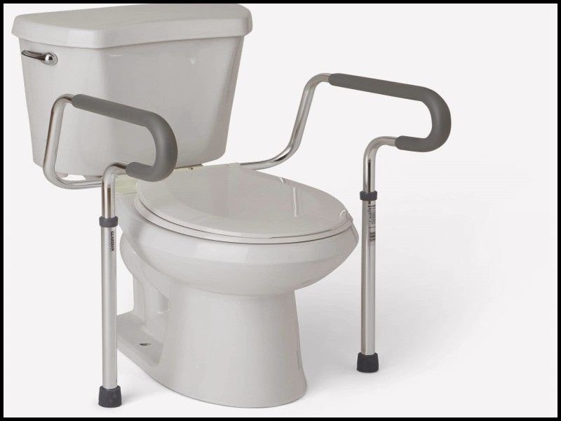 Walgreens Toilet Seat Riser Eqazadiv Home Design