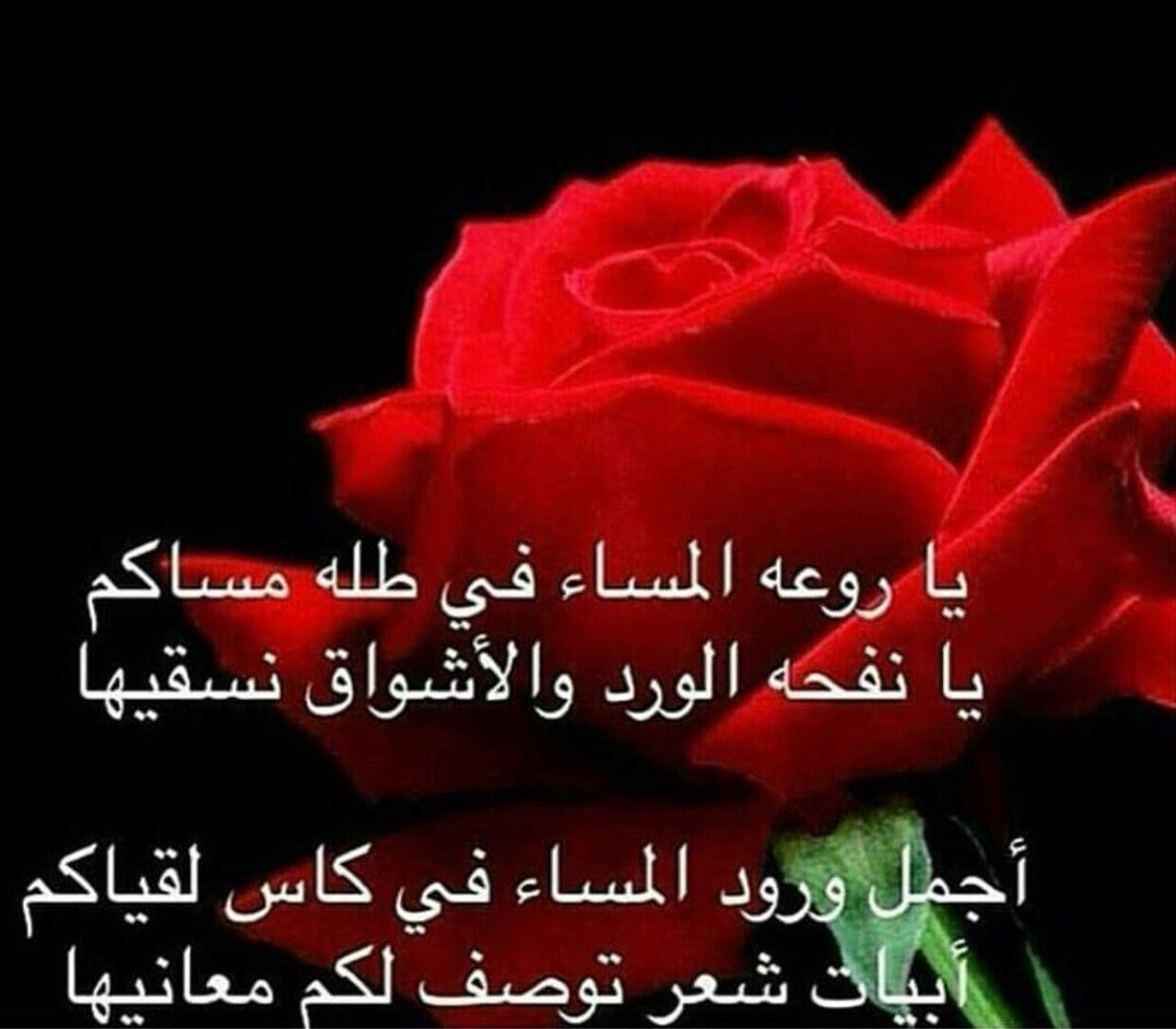 شعر للحبيب في المساء مدونة الشاعر