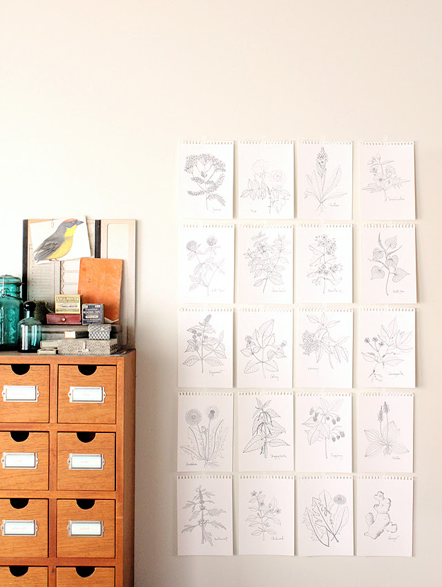 Drawing herbs