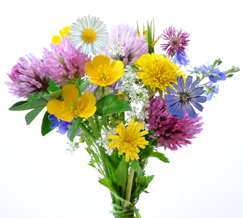 39 Bilder Blumenstrauss Kostenlos Besten Bilder Von Ausmalbilder