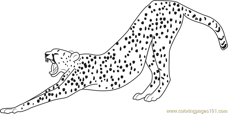 Featured image of post Cheetah Coloring Pages Pdf