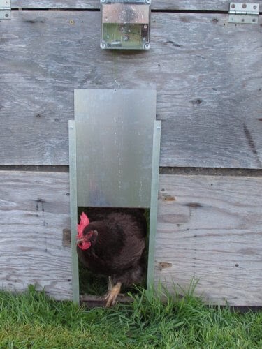 how to make an automatic chicken door opener