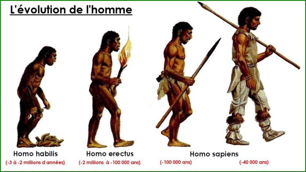Page De Garde Préhistoire Evolution L Histoire De L Homme - Aperçu Historique