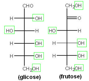 Glicose e frutose Estruturas da glicose e da frutose, com grupos hidroxila em destaque