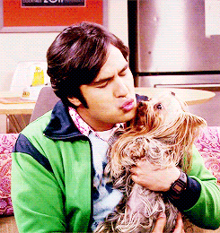Tu vida en Gifs