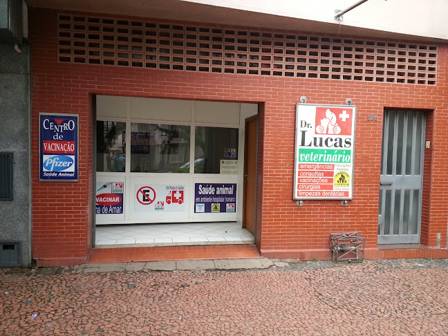 Dr. Lucas - Veterinário - Porto Alegre