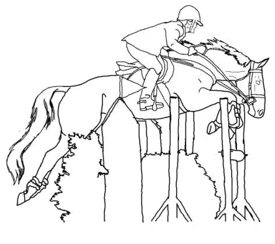 Haut Pour Dessin Cheval Qui Saute Un Obstacle  Random Spirit