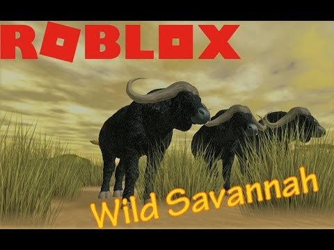 savanna slogoman