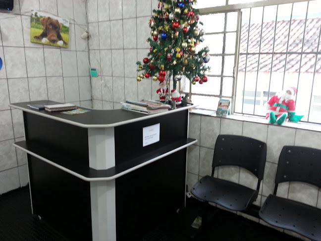 Clínica Veterinária Ponte Rasa - Veterinário