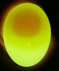 egg3 egg3