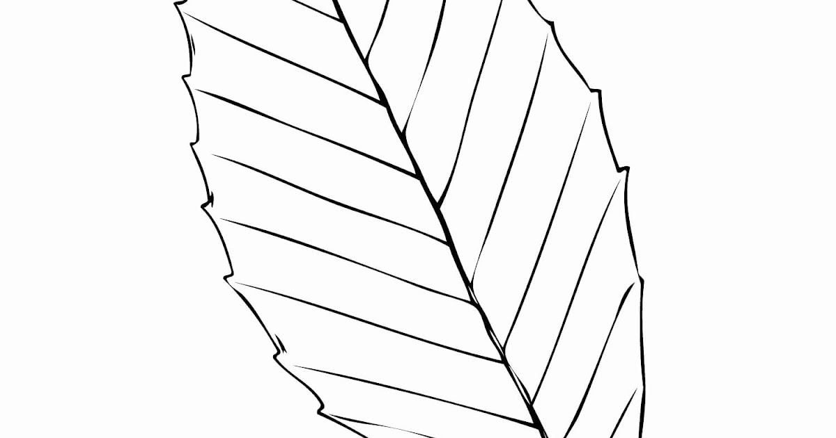 Palm Leaves Colouring Pages - thiva-hellas
