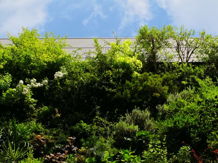 Vertical garden detail