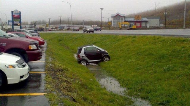 Daily Picdump Daily Picdump